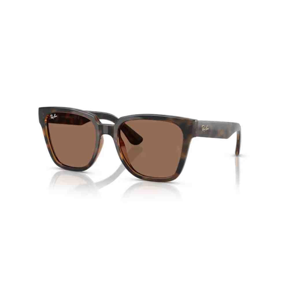 Óculos de Sol Ray-Ban Havana 0RB4437L 710/7355 Marrom 2