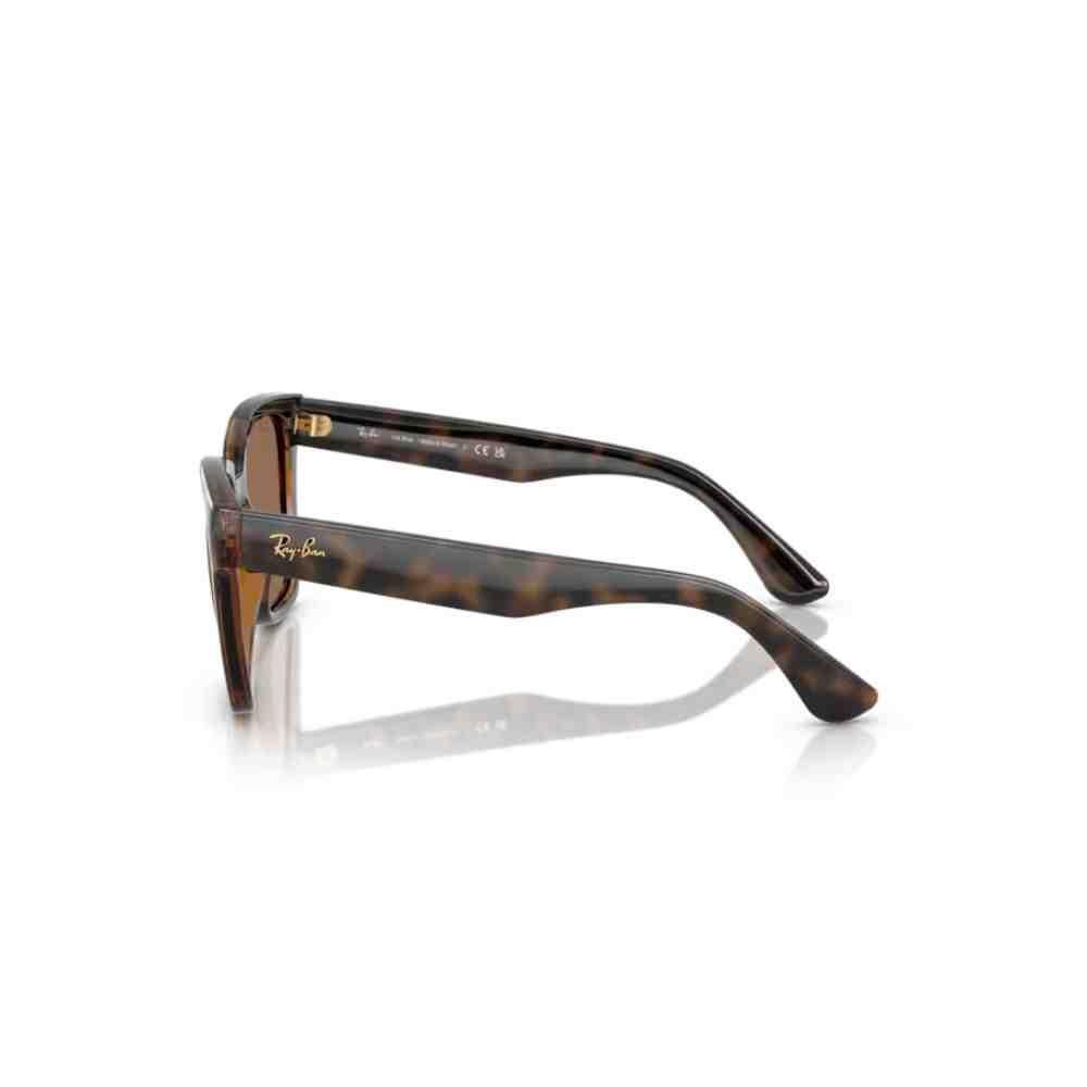 Óculos de Sol Ray-Ban Havana 0RB4437L 710/7355 Marrom 3