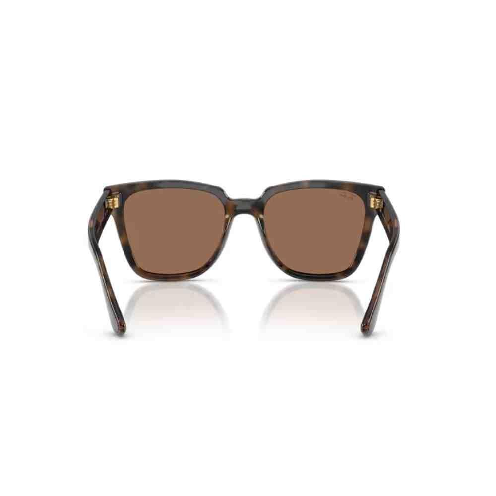 Óculos de Sol Ray-Ban Havana 0RB4437L 710/7355 Marrom 4
