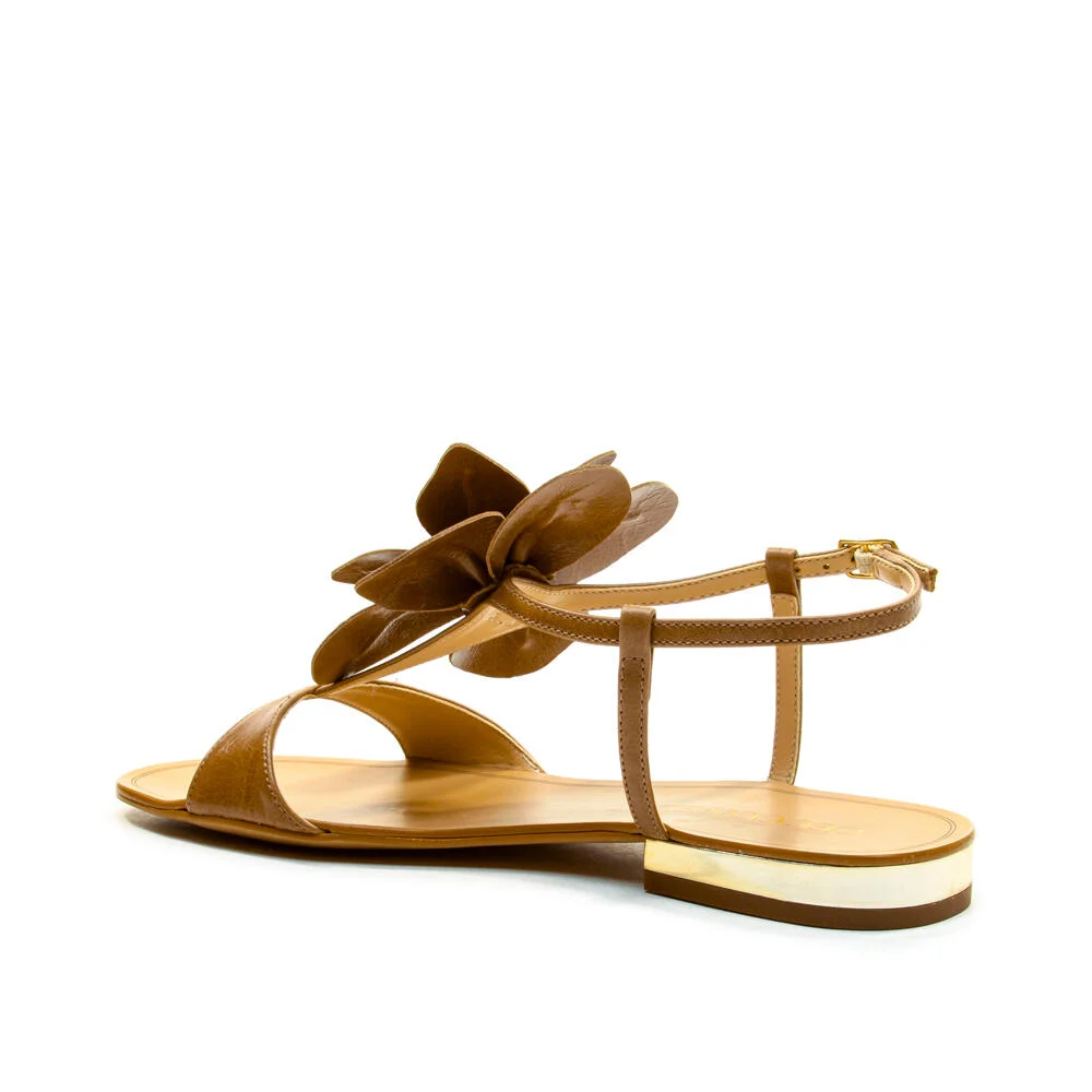 Rasteira Couro Marrom Cecconello 2724020-3 Marrom 4