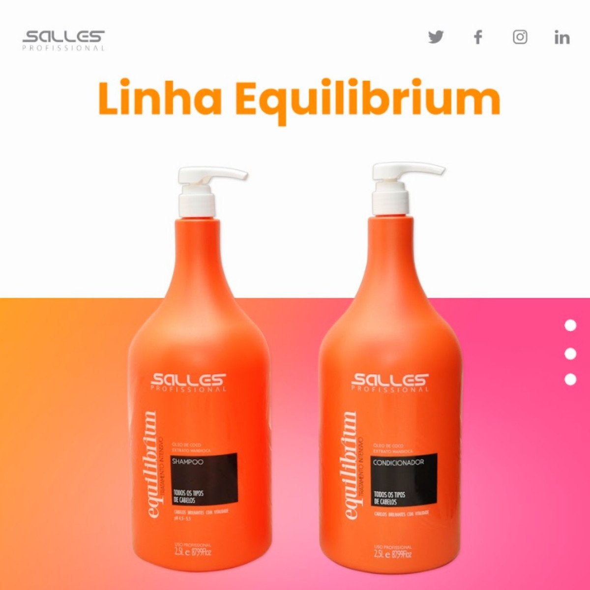 Kit Shampoo E Condicionador Equilibrium 2,5lt Salles ÚNICO 5
