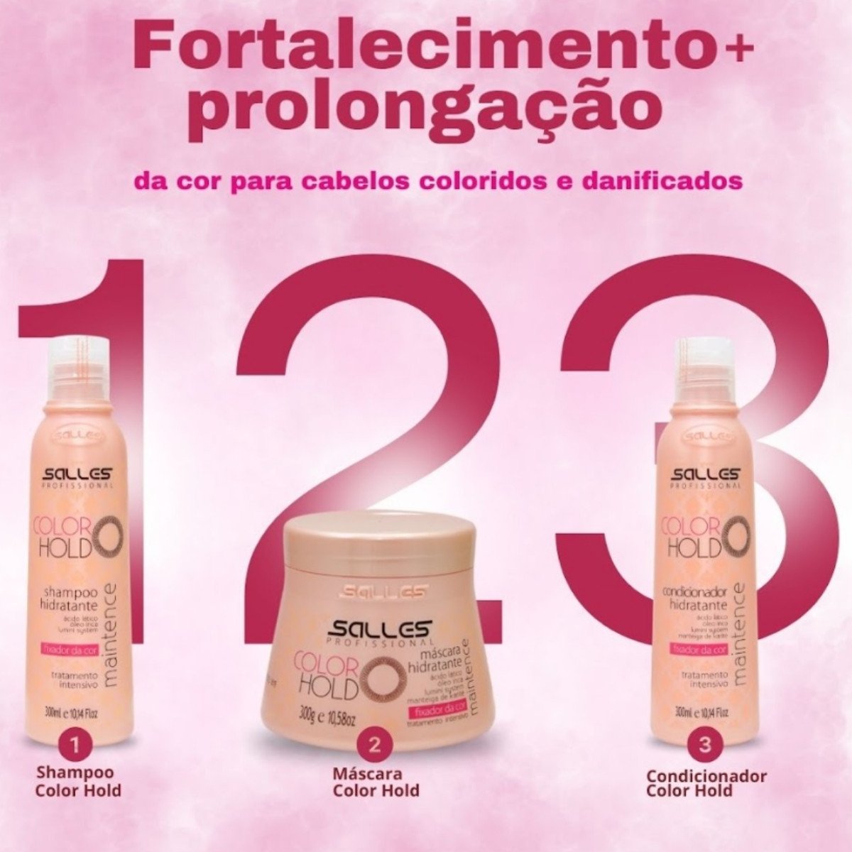 Kit Shampoo + Mascara + Condicionador ColorHold 300ml Salles ÚNICO 2