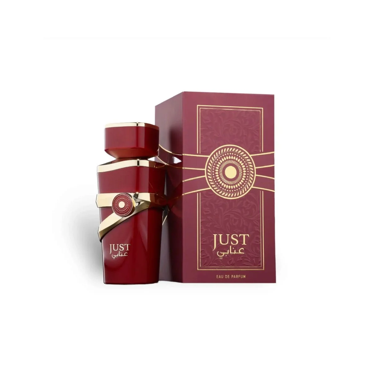 Perfume Just Anabi Fragrance Of World Unissex Edp 100Ml 100ml 2