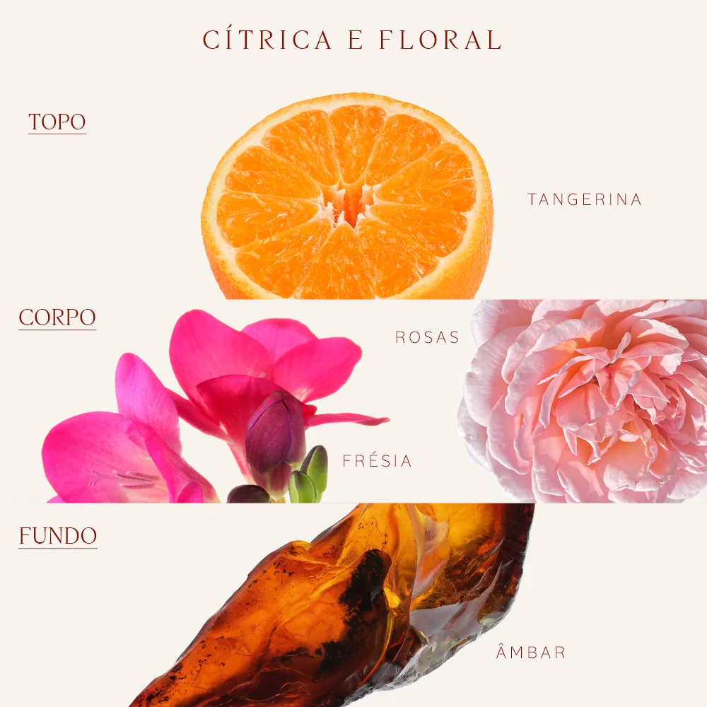 Desodorante LOccitane Colonia Tangerina Feminino 300Ml 300ml 2