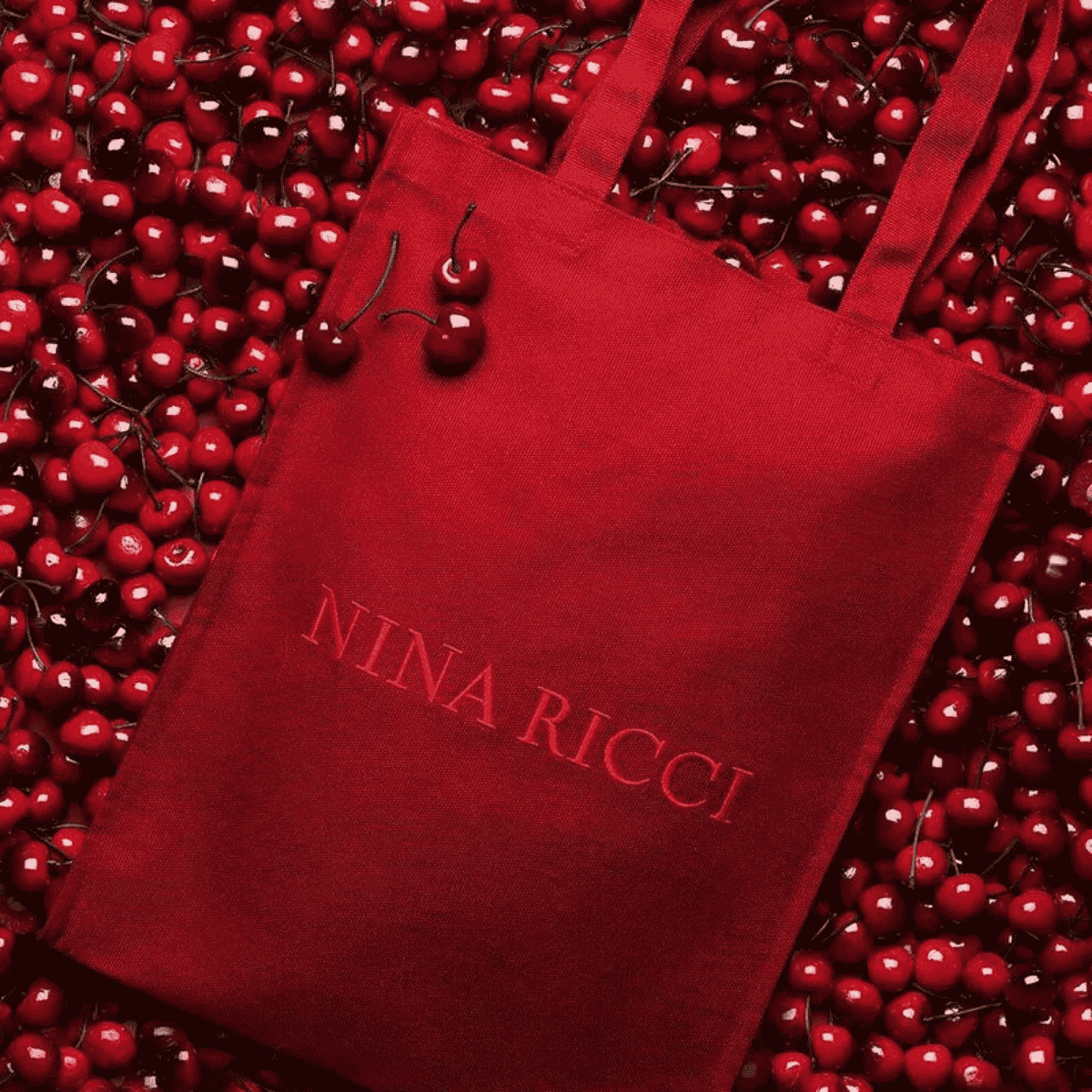 Nina Ricci Rouge Crush Edp Feminino 30ml 30ml 4