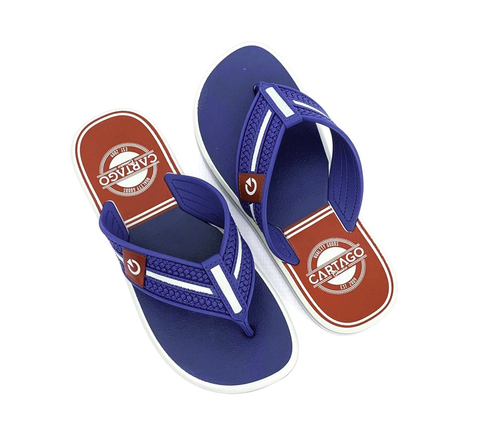 CARTAGO CHIENLO MASC Cinza/Azul 4