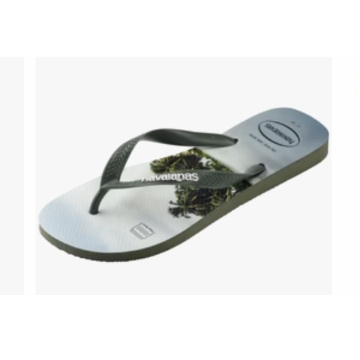 Chinelo Top Surfer Havaianas Masculino 4149971 Oliva Verde 3