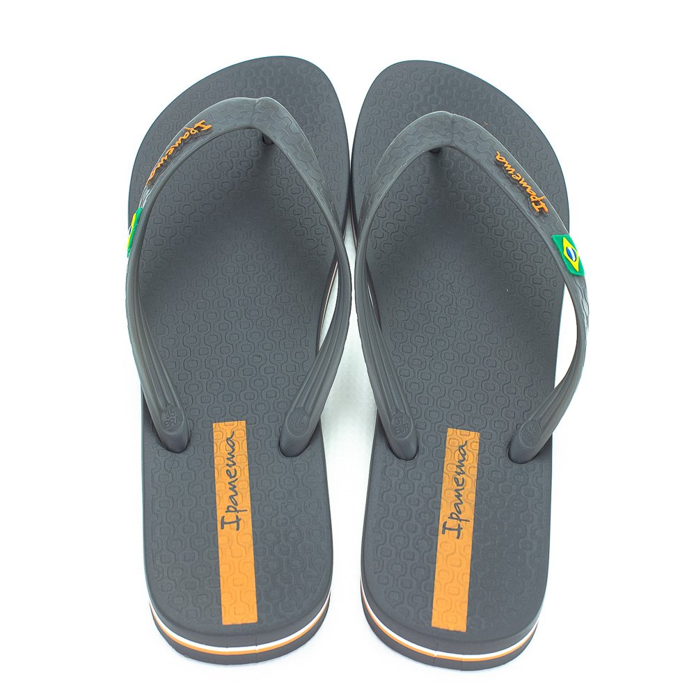 Chinelo Feminino Ipanema Brasil - Cinza Cinza 3