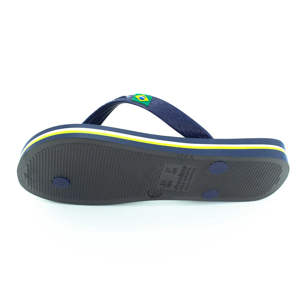 Chinelo Feminino Ipanema Brasil - Azul Azul 4