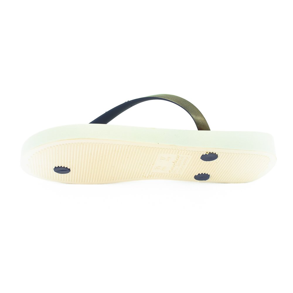 Chinelo Feminino Ipanema Navy - Bege Bege 4
