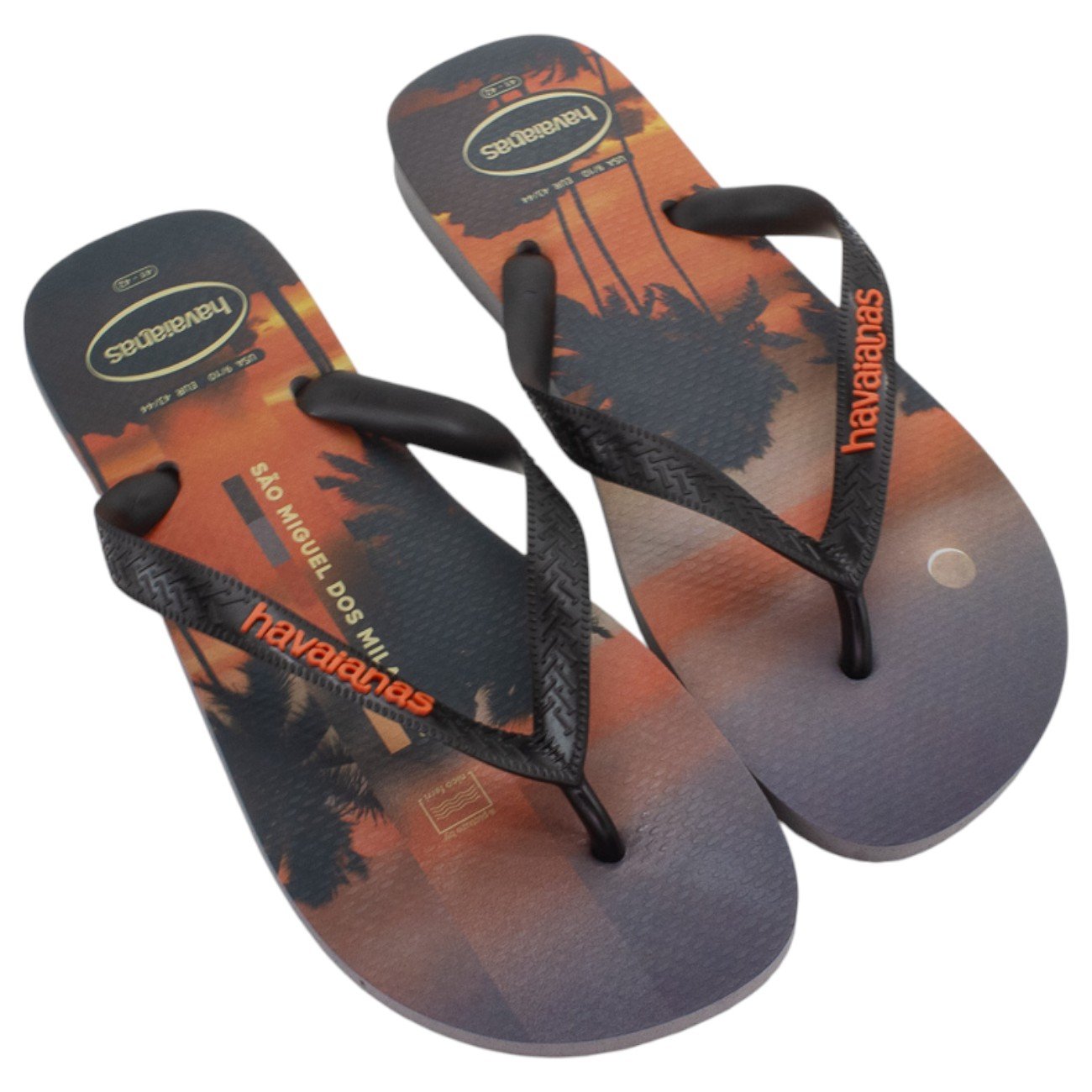 Chinelo Masculino Havaianas Top Surfer I - Cinza