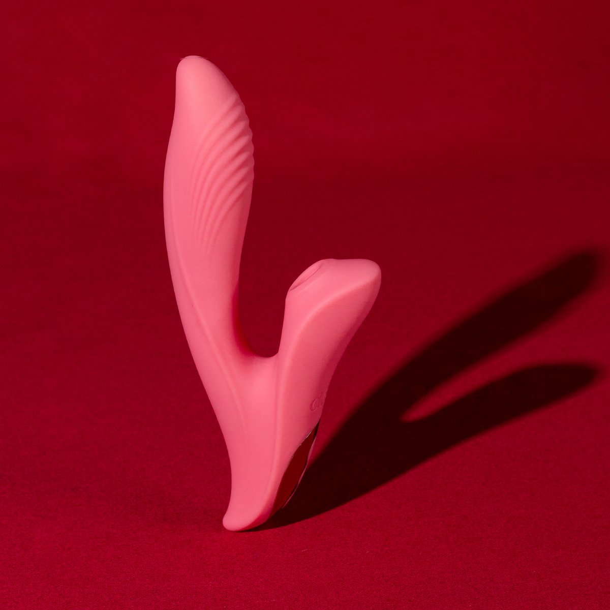 Queen by Desir Rosa 2