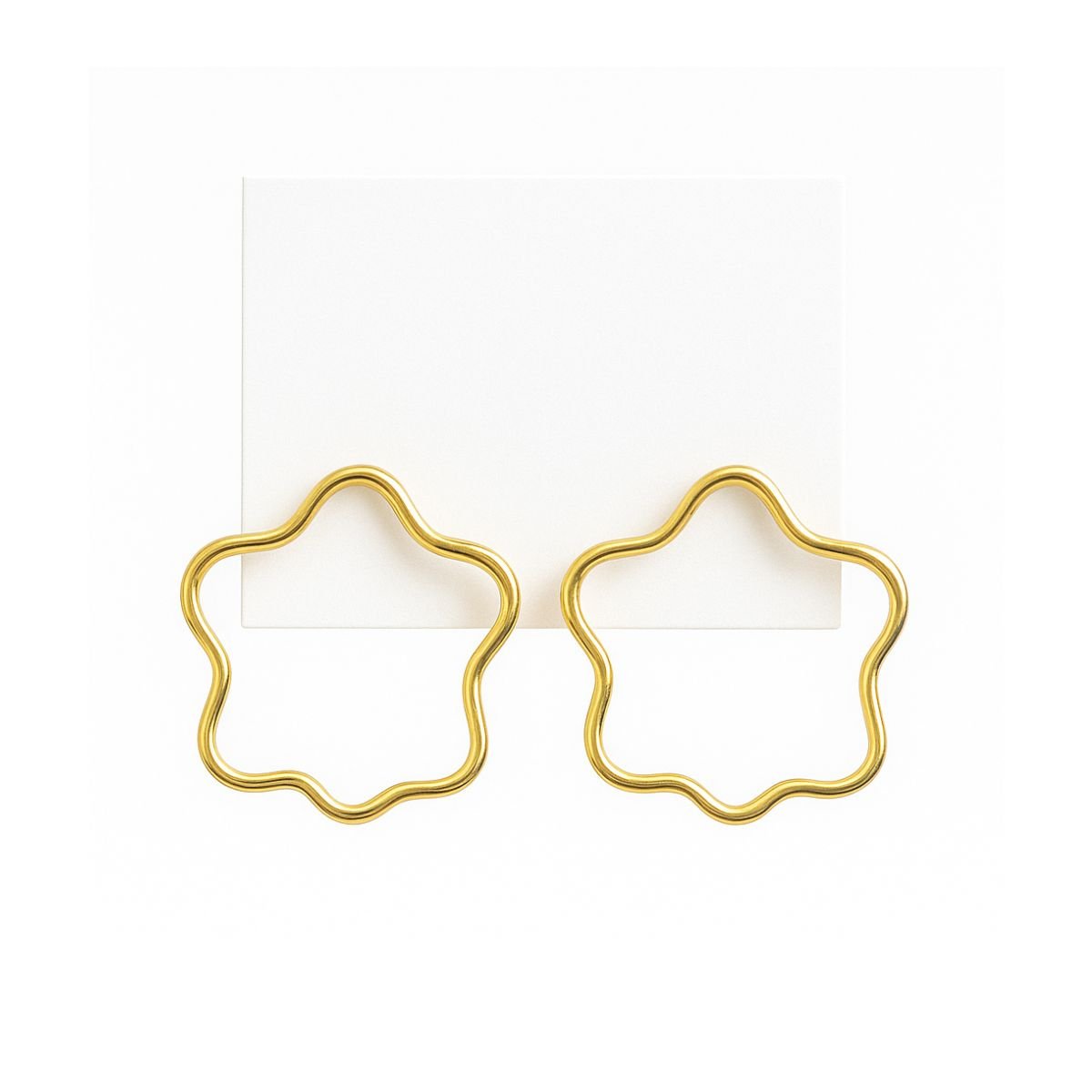 Brinco Argola Banhada a Ouro