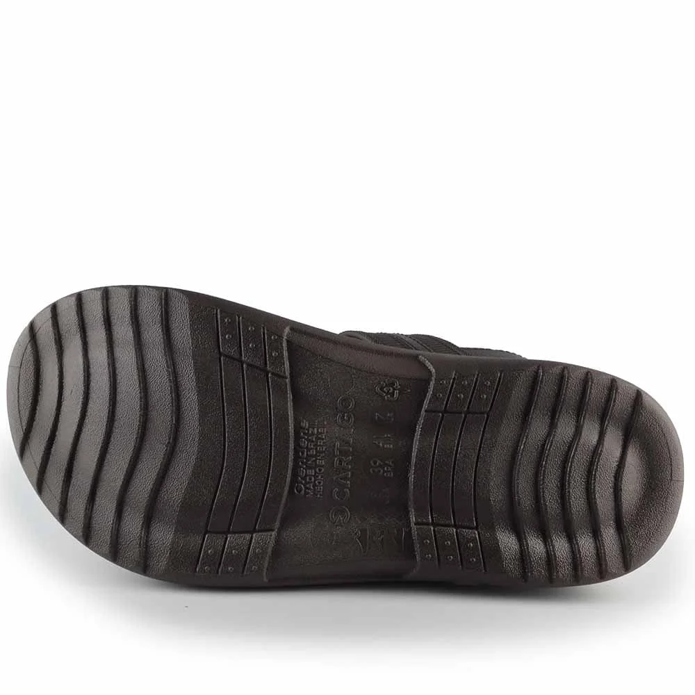 Papete Cartago Masculina Santorini 12412 Marrom 5