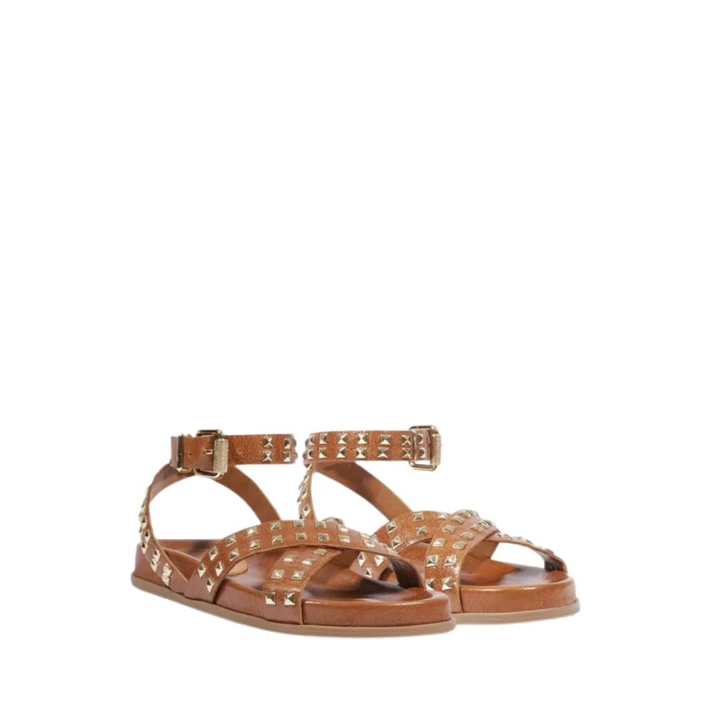 Papete Schutz Studs Carolla Marrom Marrom 2