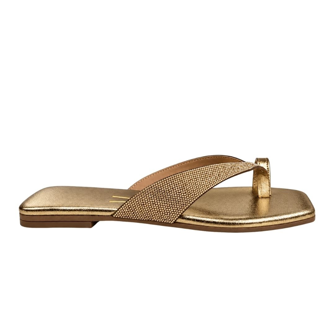 Chinelo Feminino Vizzano 6553.118 Gaspea