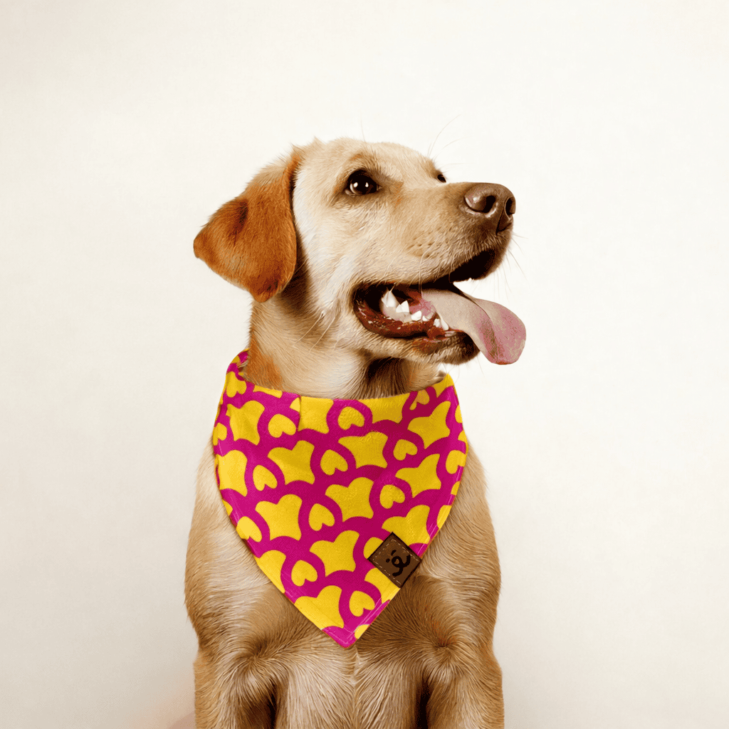 Bandana para Pet - Live  - Amarelo e Pink