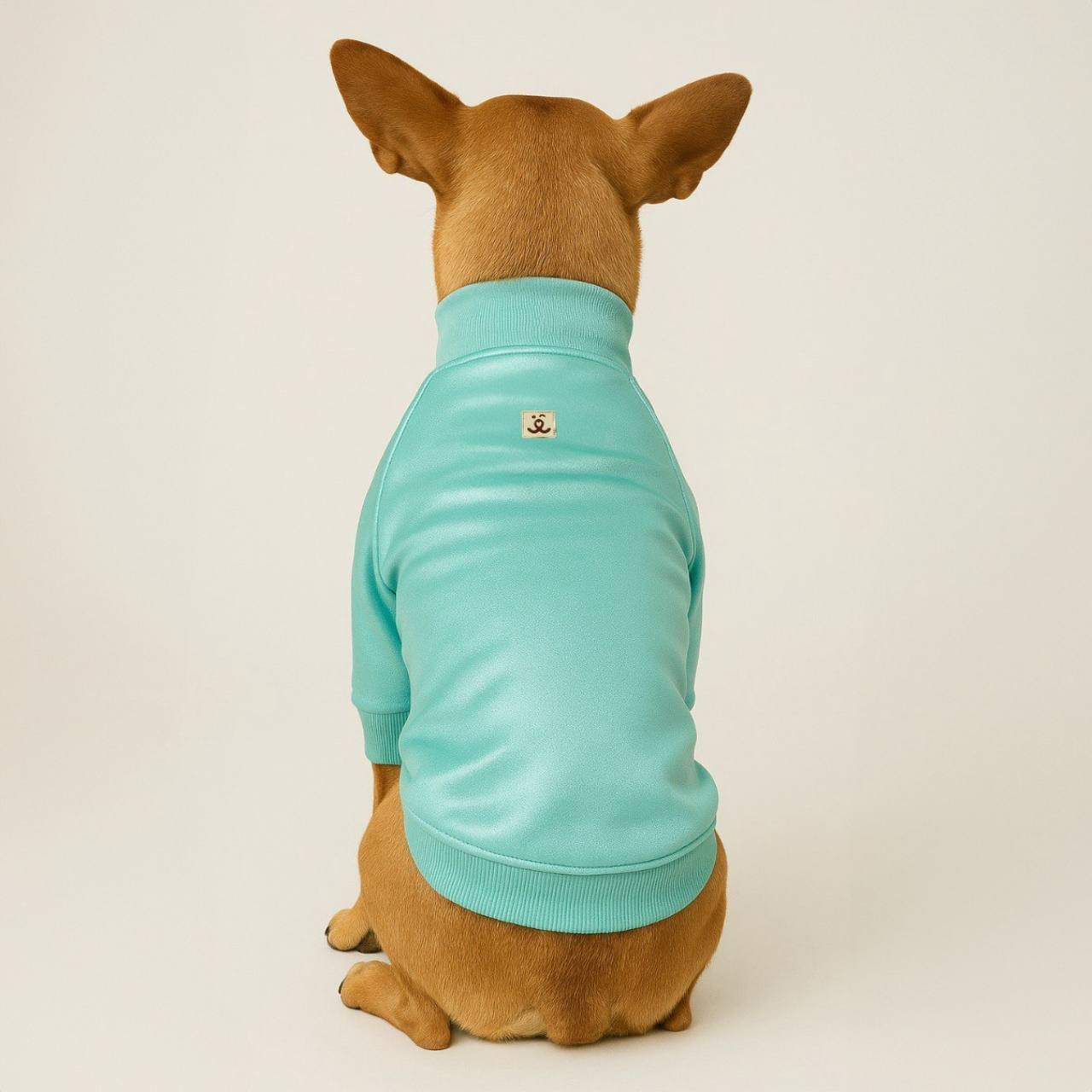 Jaqueta para Pet - Blizzard - PU - Verde Perola Verde 2