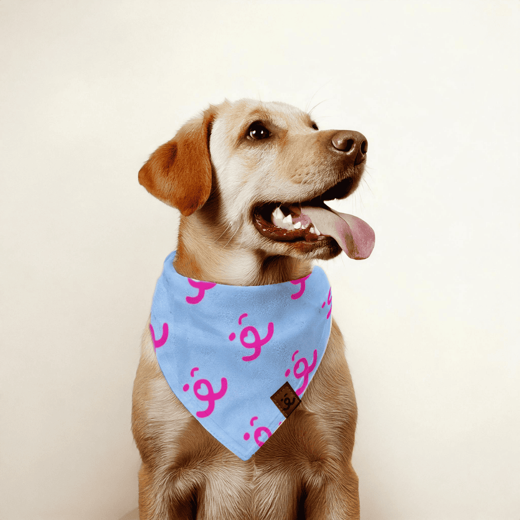 Bandana para Pet - Elo - com Elástico - Azul e Pink