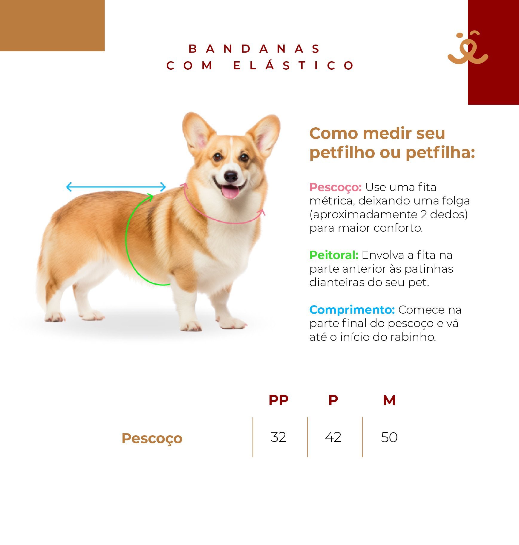 Bandana para Pet - Elo - com Elástico - Verde Musgo e Dourado Verde/Dourado 3