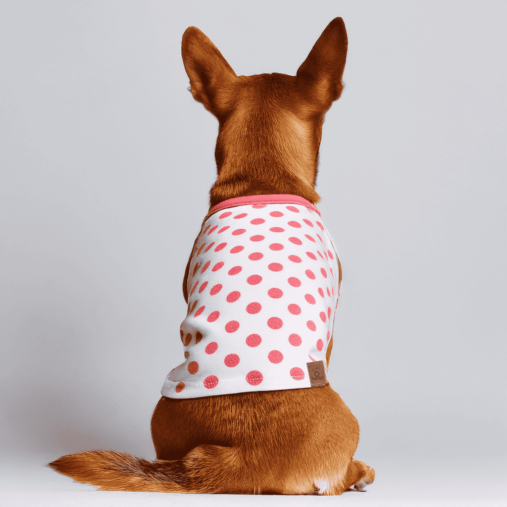 Pijama para Pet - Arias - Rosa e Branco Branco/Rosa 2