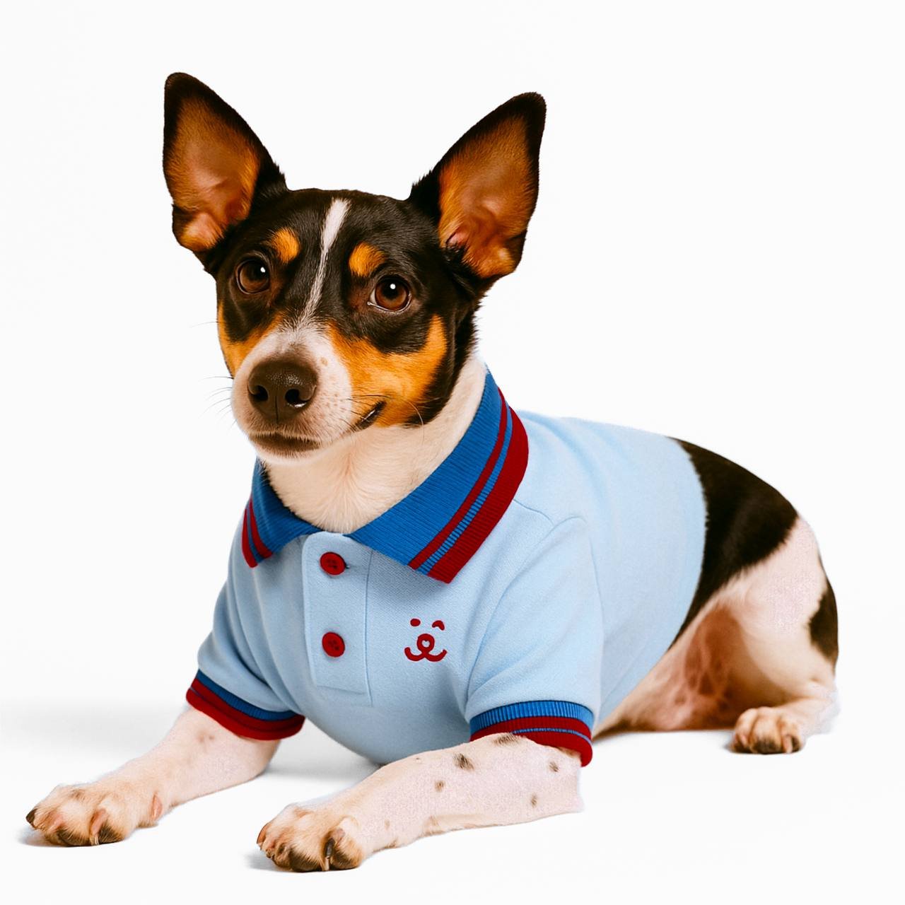 Camisa Polo para Pet - Azul Bebê Azul 2