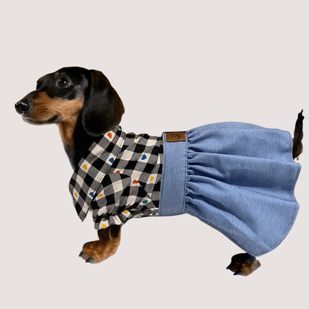 Saia para Pet - Fran - Jeans