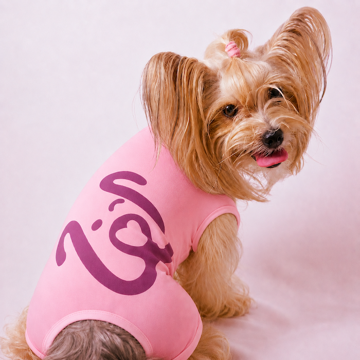 Macacão para Pet - PetChic - Rosa