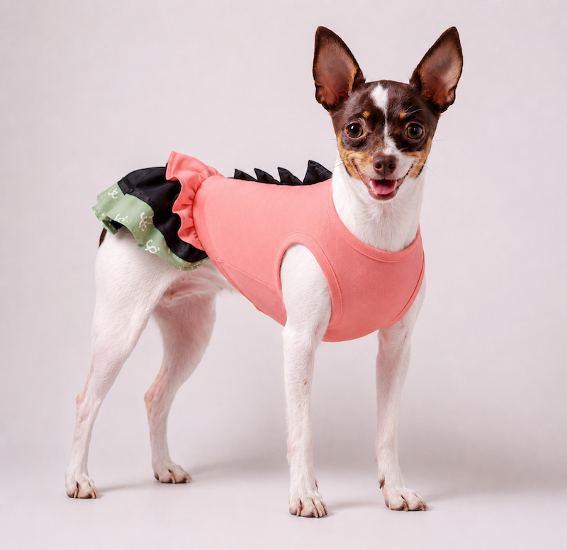 Vestido para Pet - PetChic - Coral e Verde/Preto