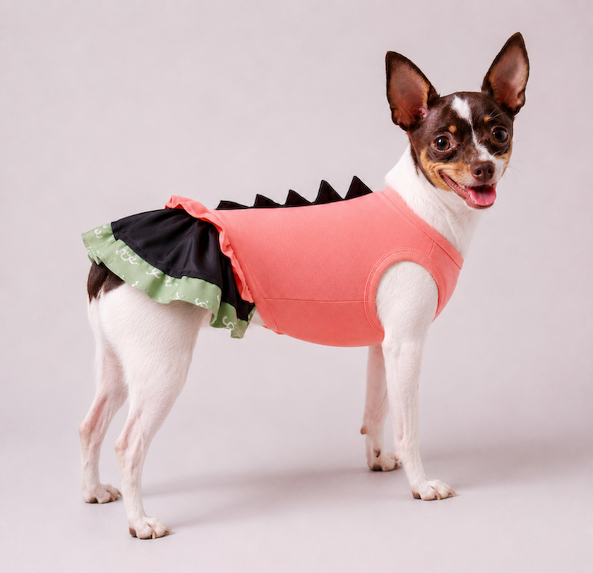 Vestido para Pet - PetChic - Coral e Verde/Preto Coral 2