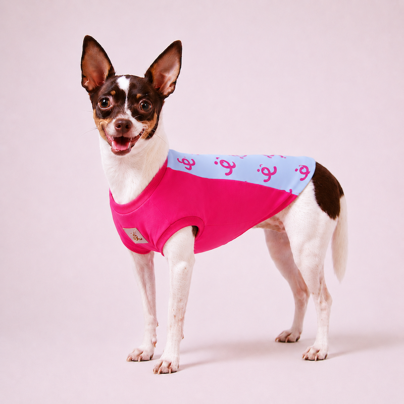 T-shirt para Pet - PetChic - Pink e Azul Bebê