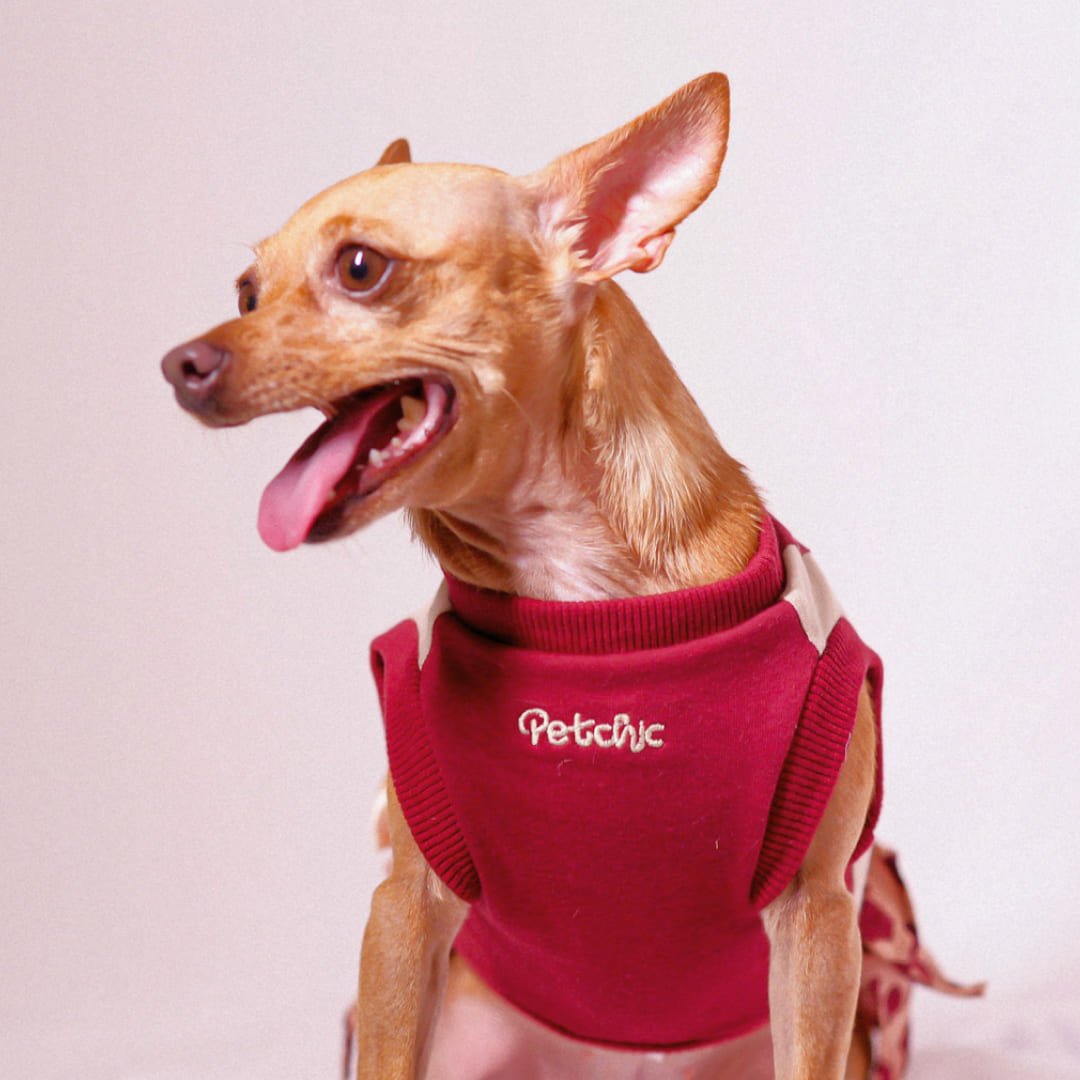 Vestido para Pet - Julie - Vinho e Bege