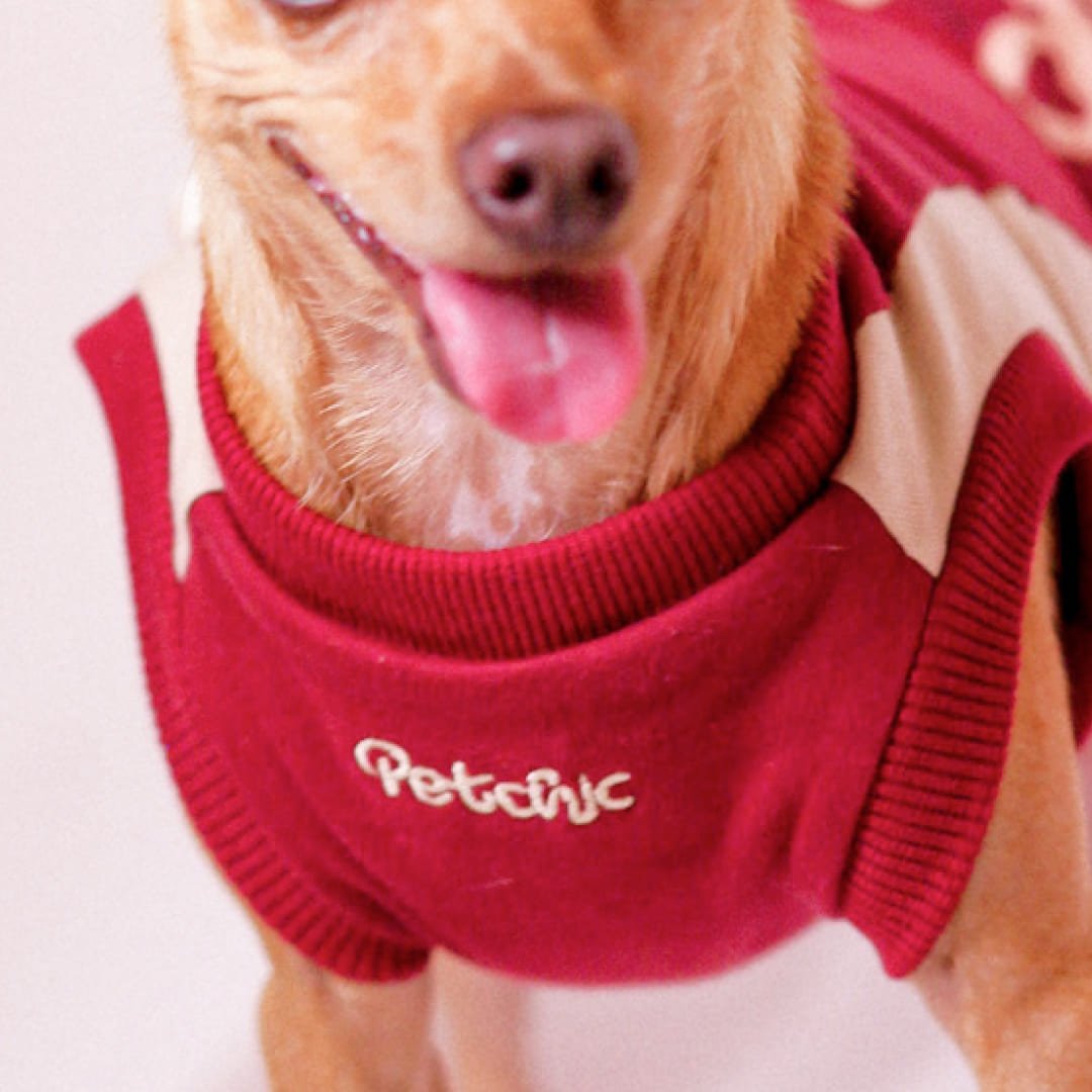 Vestido para Pet - Julie - Vinho e Bege Vinho/Bege 2