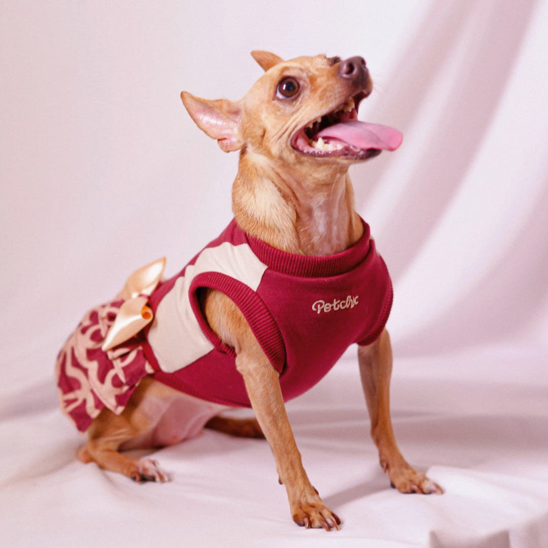 Vestido para Pet - Julie - Vinho e Bege Vinho/Bege 3