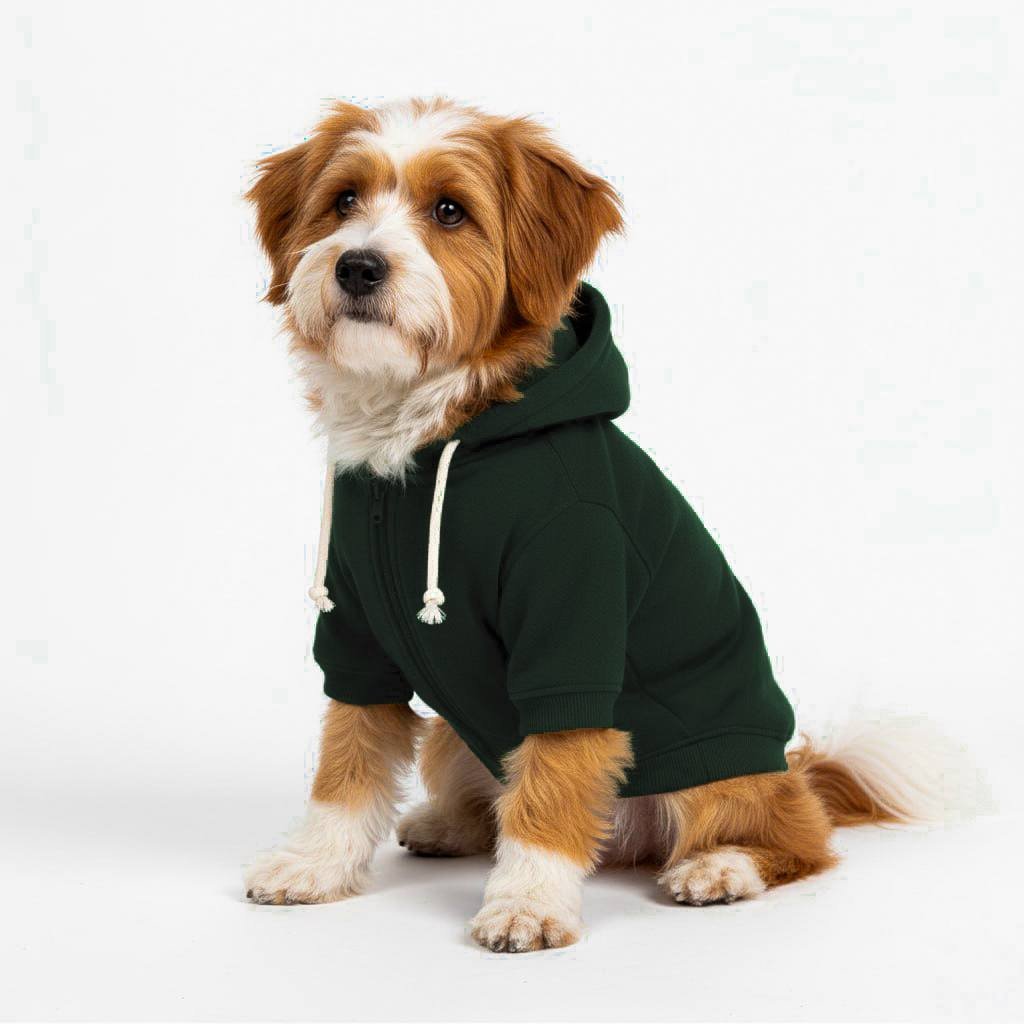 Moletom para Pet - com capuz - Verde Musgo