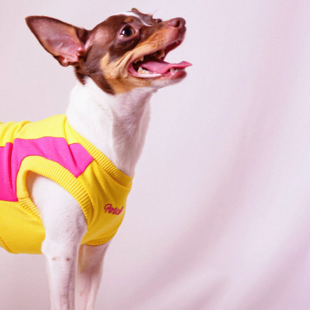 Vestido para Pet - Julie - Amarelo e Pink