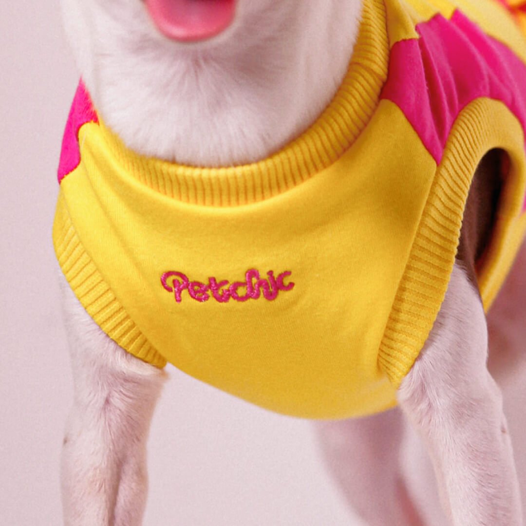 Vestido para Pet - Julie - Amarelo e Pink Amarelo/Pink 2