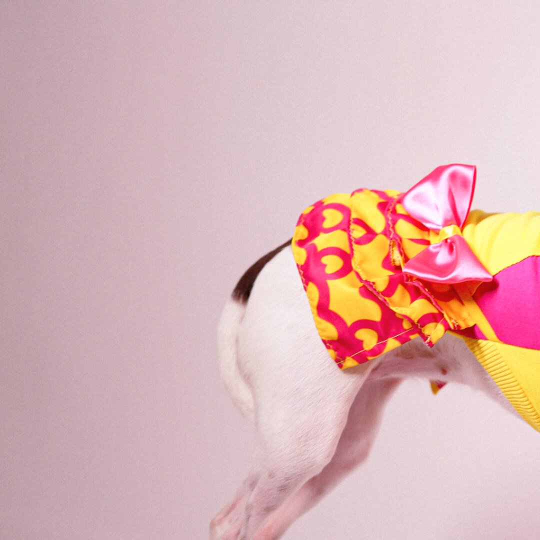 Vestido para Pet - Julie - Amarelo e Pink Amarelo/Pink 3