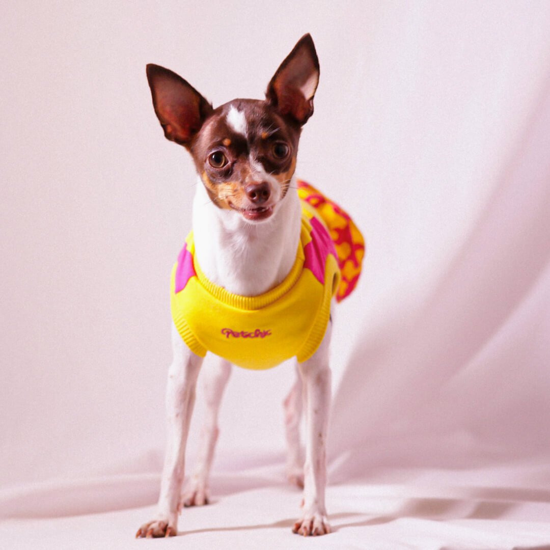 Vestido para Pet - Julie - Amarelo e Pink Amarelo/Pink 4