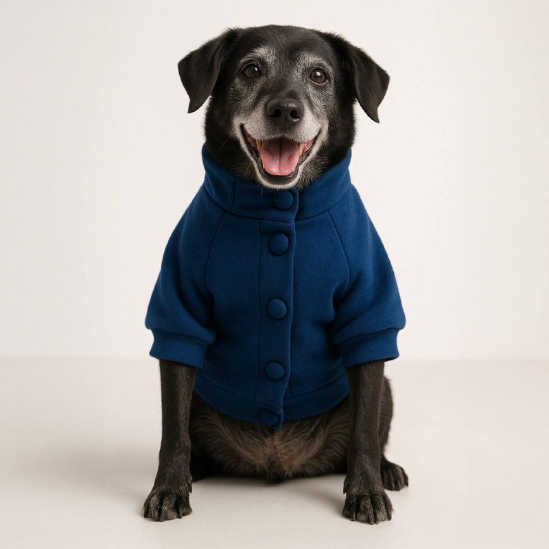 Moletom para Pet - Gola alta - Azul Marinho