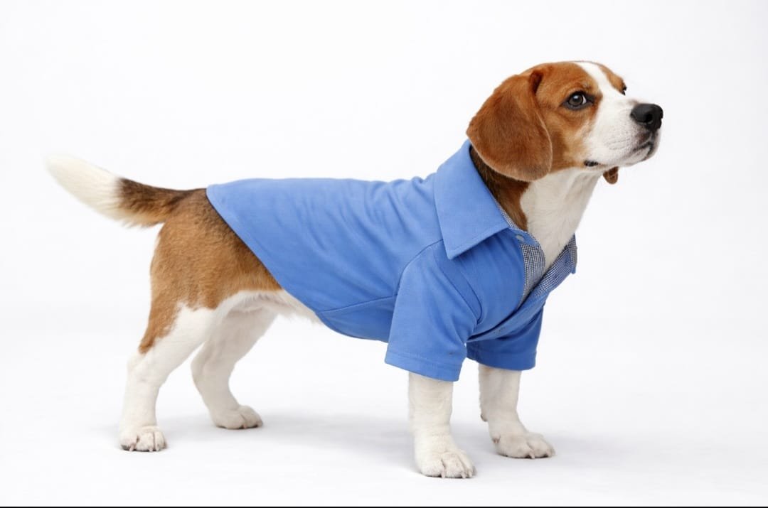 Camisa para Pet - Jeans Benesser Azul 2