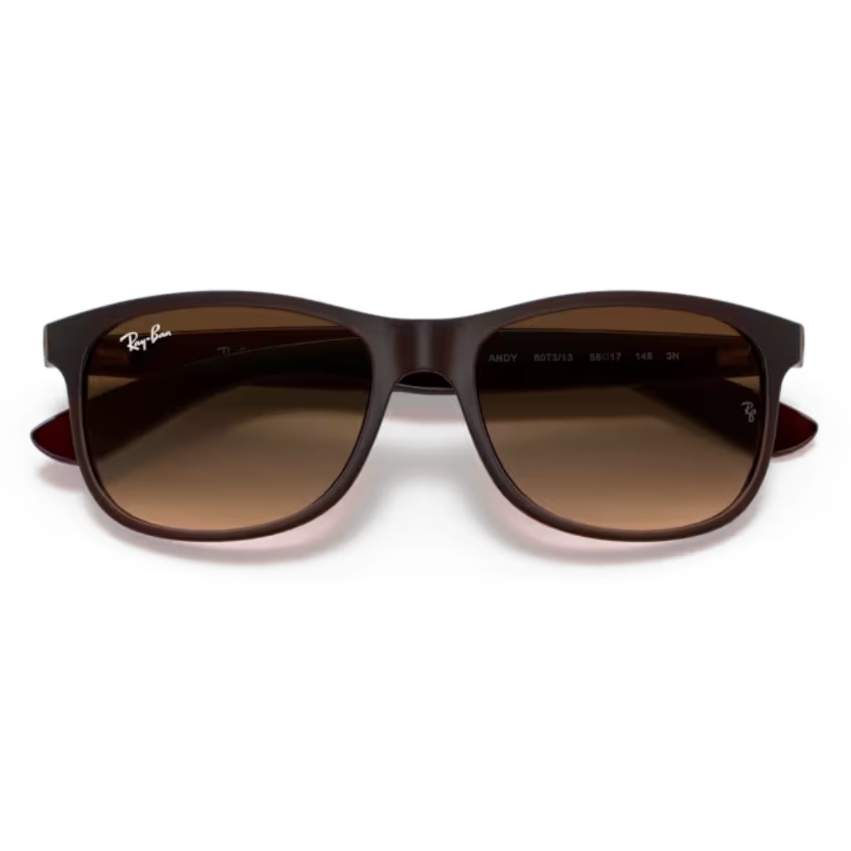 Oculos de Sol Ray-Ban Andy Marrom RB4202 607313 Marrom 6