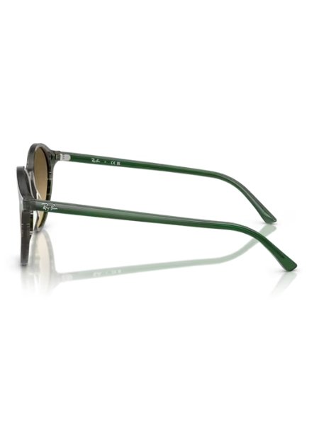 Oculos de Sol Ray-Ban Bernard Polido Verde Transparente RB2230 14210A 53 Verde 5