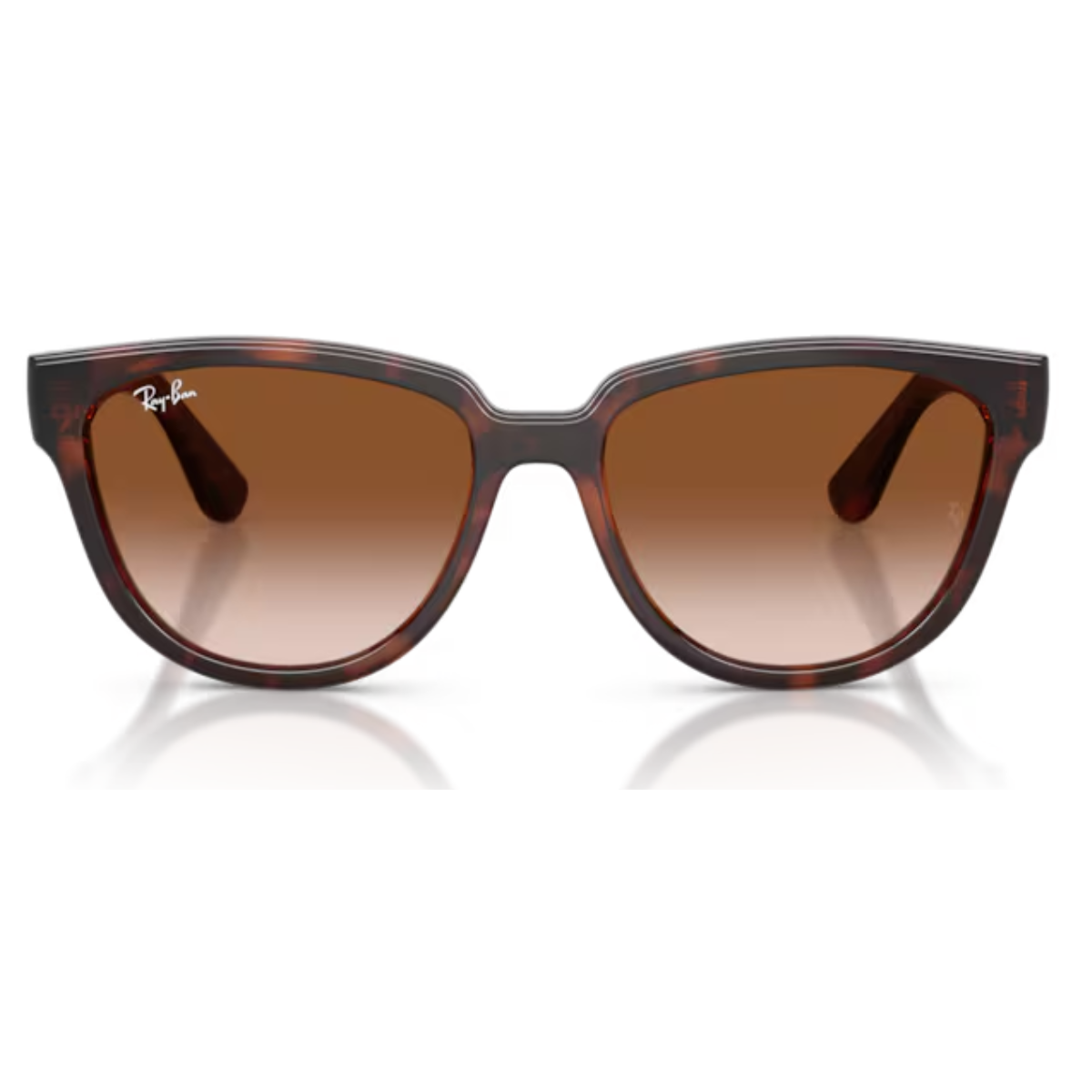 Oculos de Sol Ray-Ban Classico Feminino Polido Havana RB4463L 710/13 Havana 2