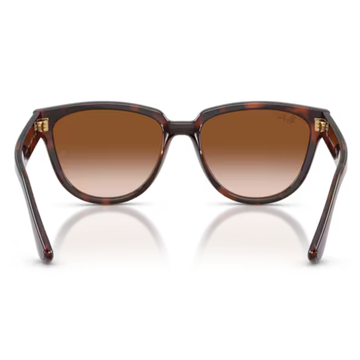 Oculos de Sol Ray-Ban Classico Feminino Polido Havana RB4463L 710/13 Havana 4