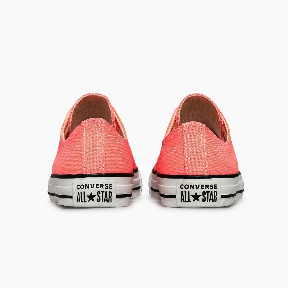 Tênis Chuck Taylor All Star Seasonal Colors Cano Baixo Rosa Salmão 7