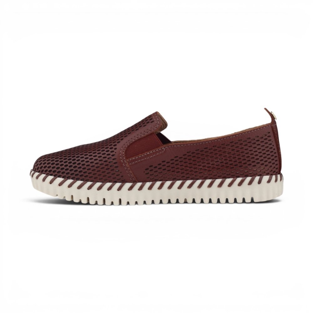 Sapatênis Feminino Bottero Casual Marrom 2