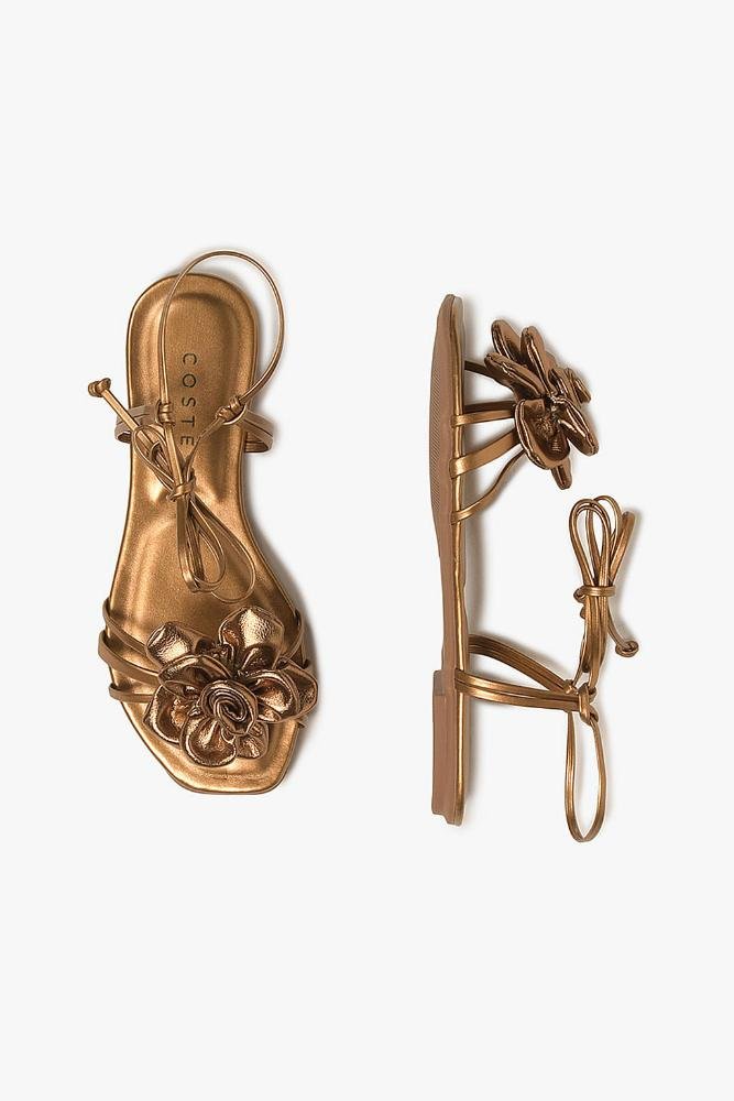 Rasteira Feminina Costes Eloah Bronze 3