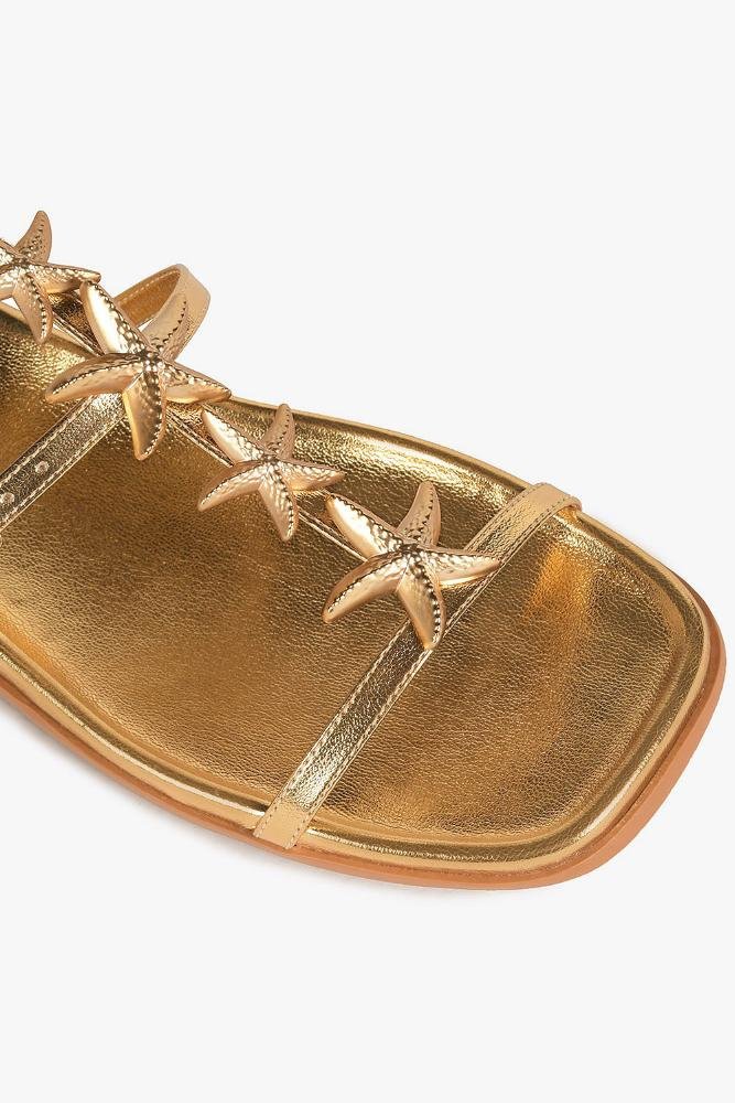 Rasteira Feminina Mundial Thayne Dourado 3