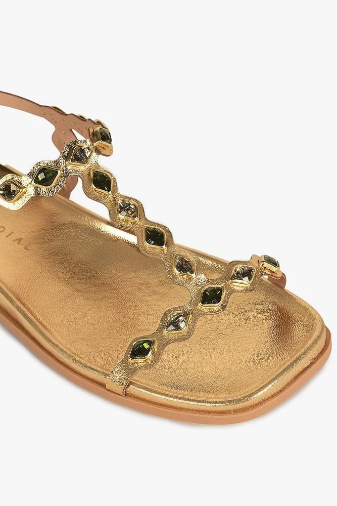 Papete Feminina Mundial Brena Dourado 2